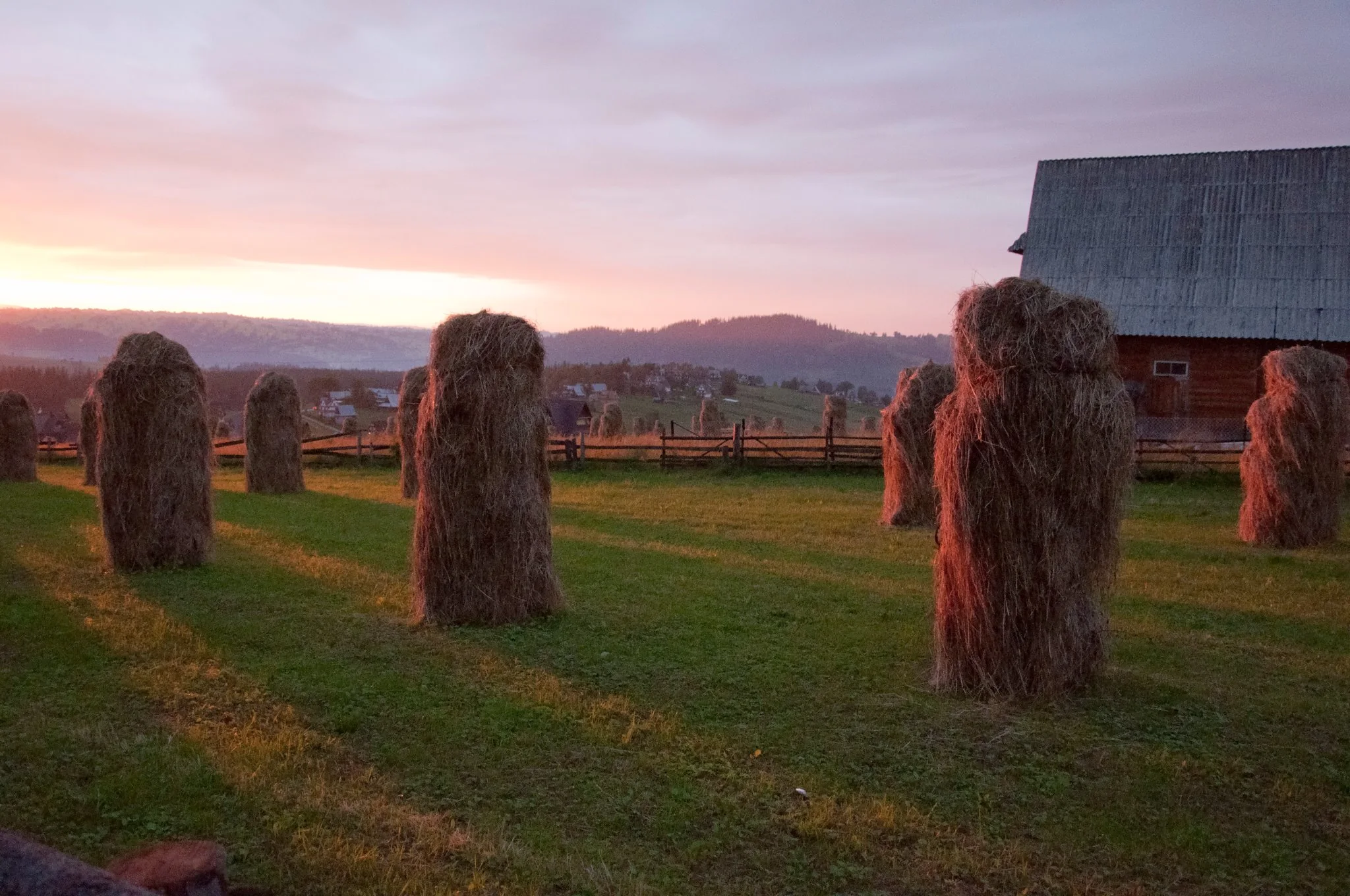 Haystacks stand across a green field beside a wooden barn under a pink sunset